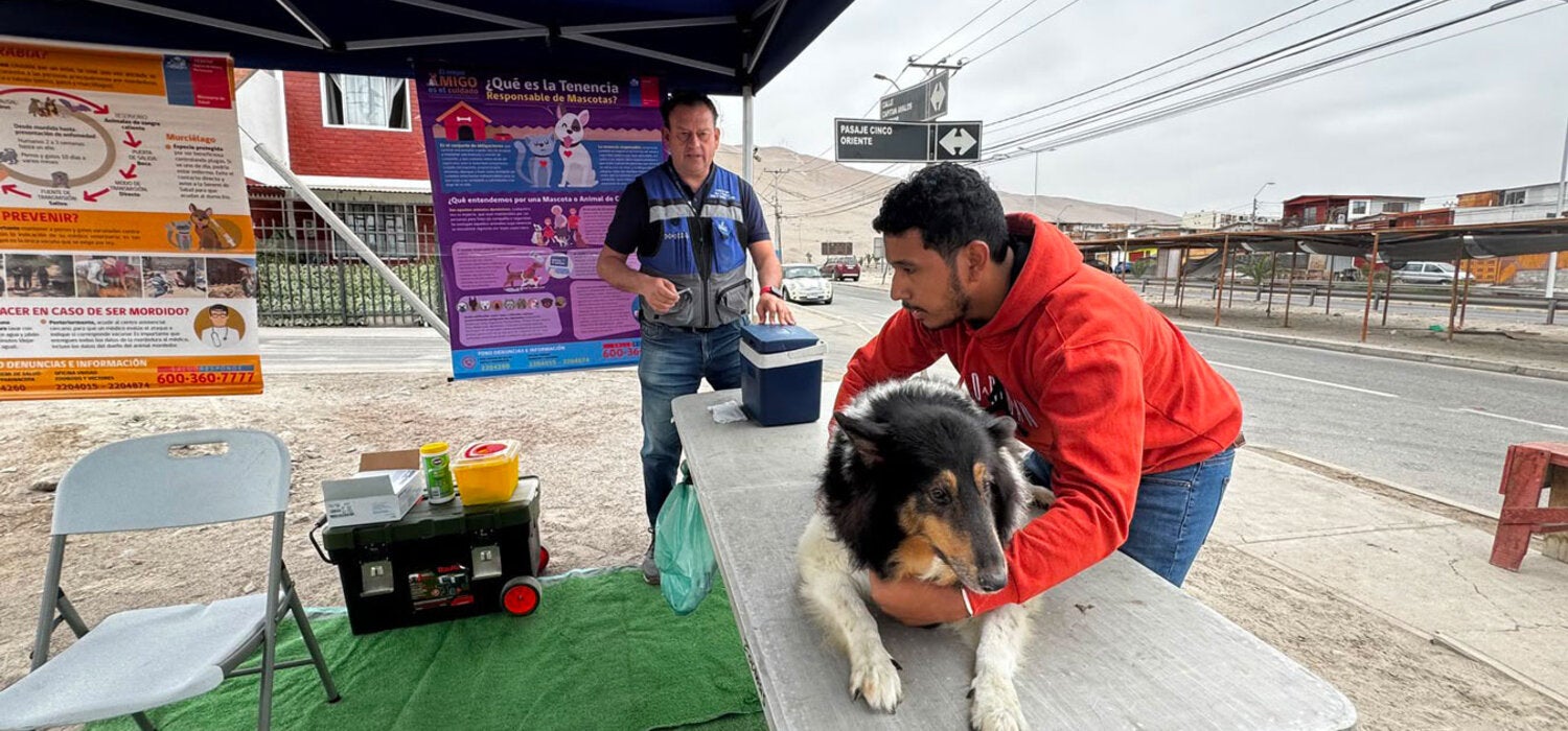 Dog vaccination has been one of Chile's key tools for interrupting rabies transmission and protecting people against the disease.