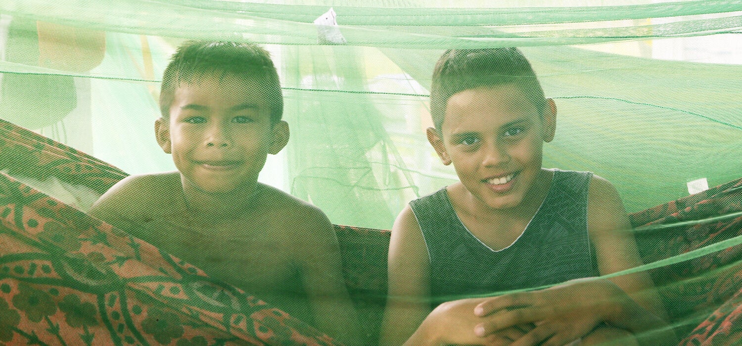 Historia de éxito: Países de las Américas. Campeones de la lucha contra la malaria