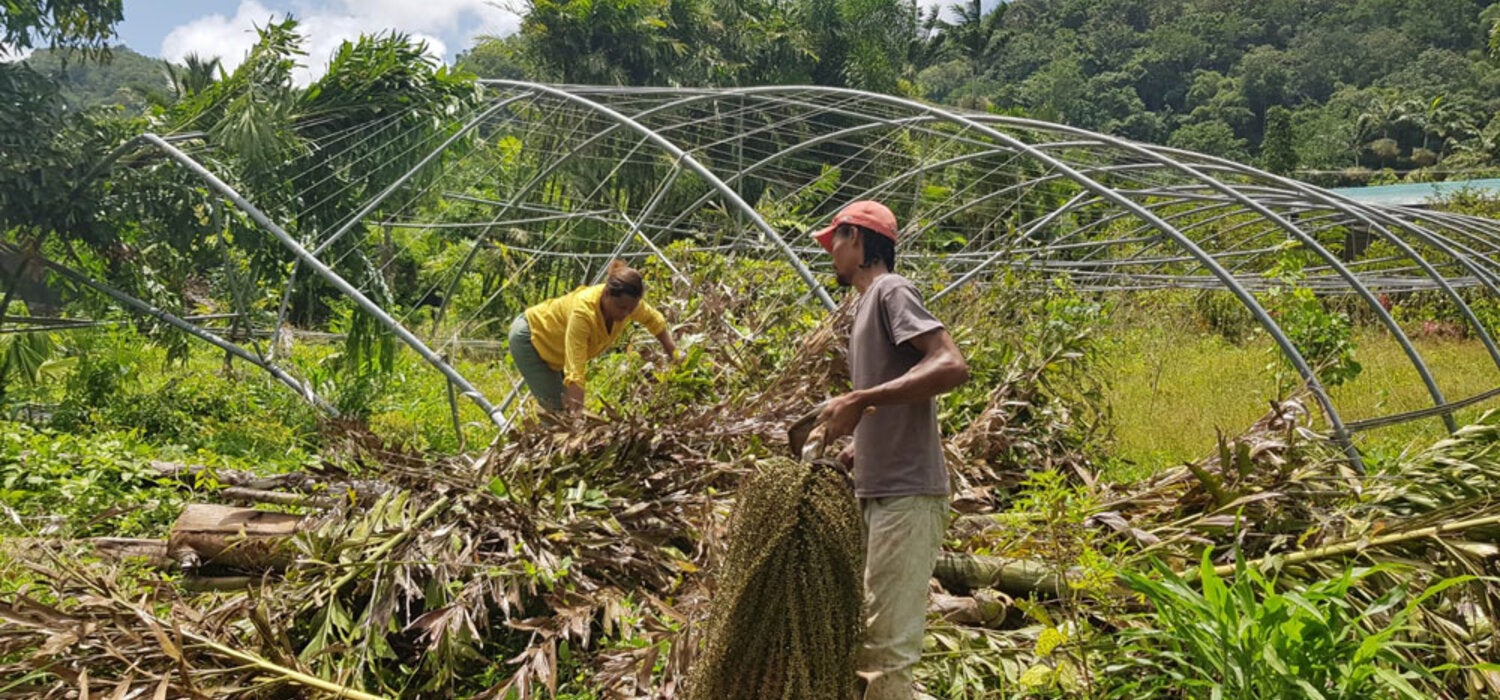 Farming in Saint Lucia