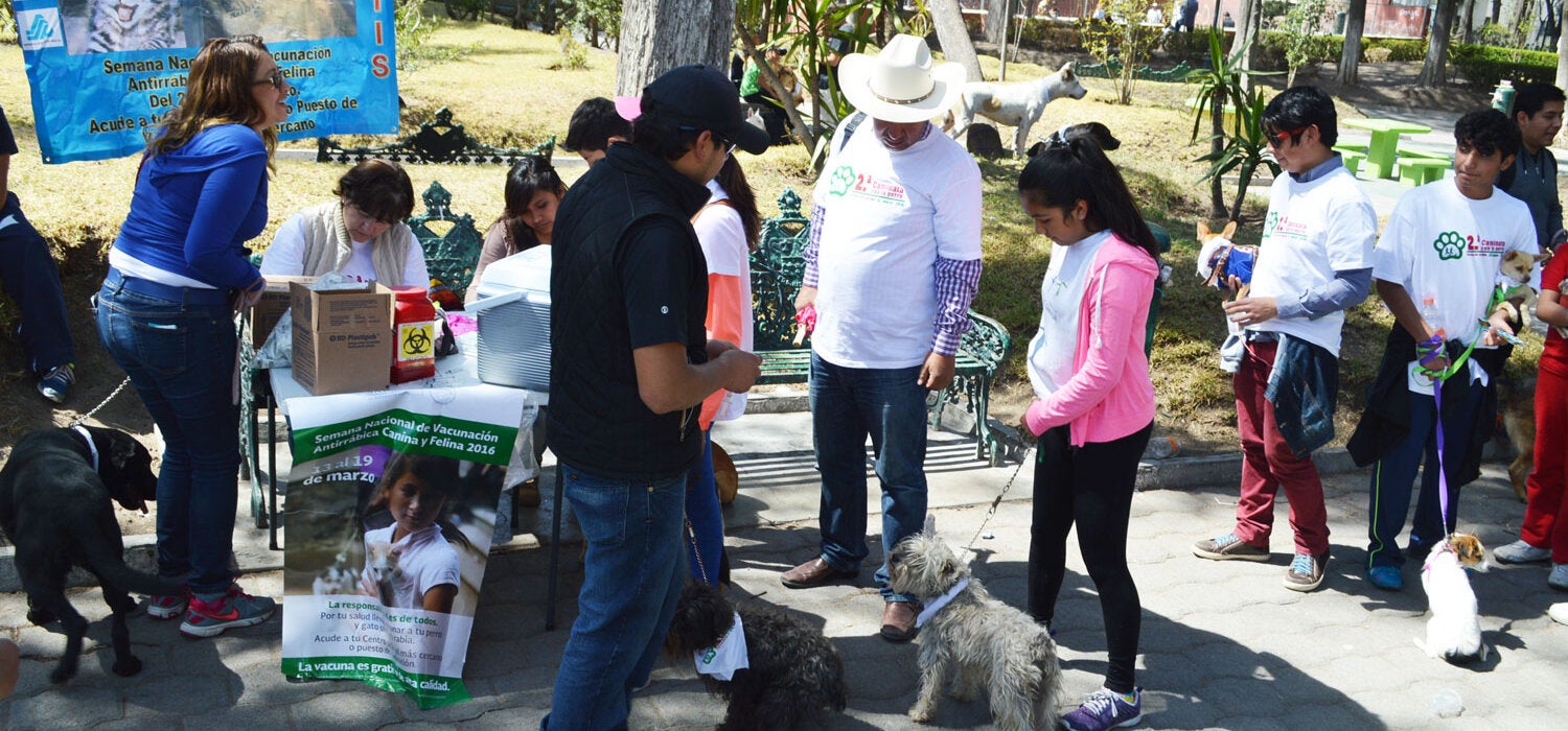 México está libre de rabia humana transmitida por perros
