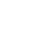 Icon document