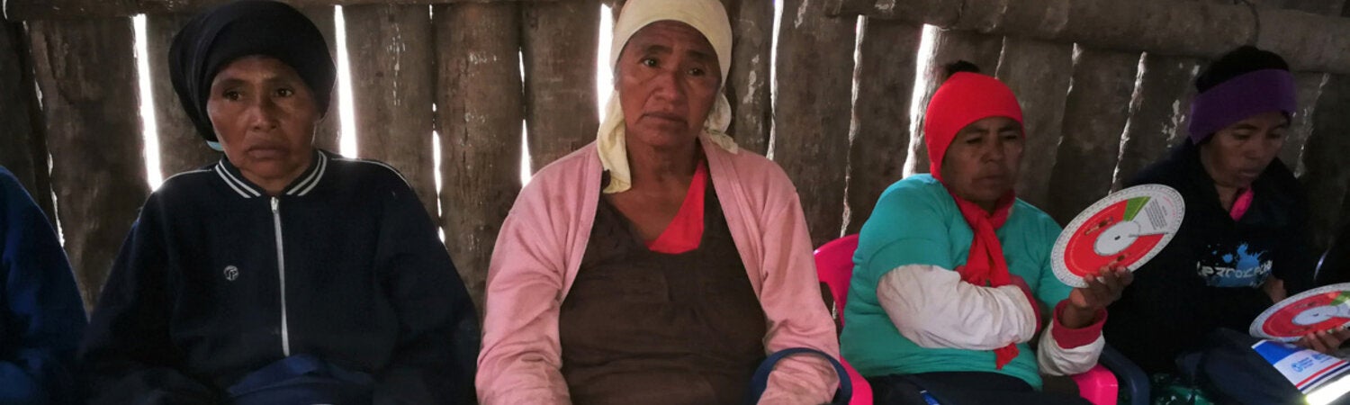 Parteras de El Chaco, Paraguayo