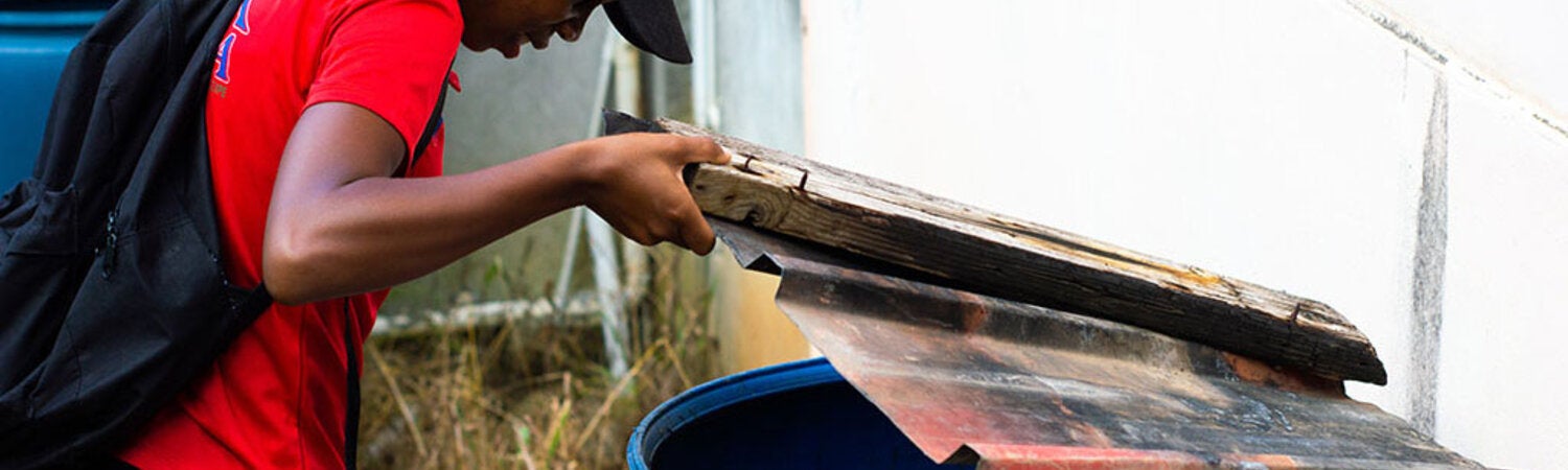 Inspection for mosquitoes