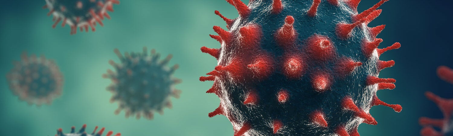 Coronavirus Disease (COVID-19)