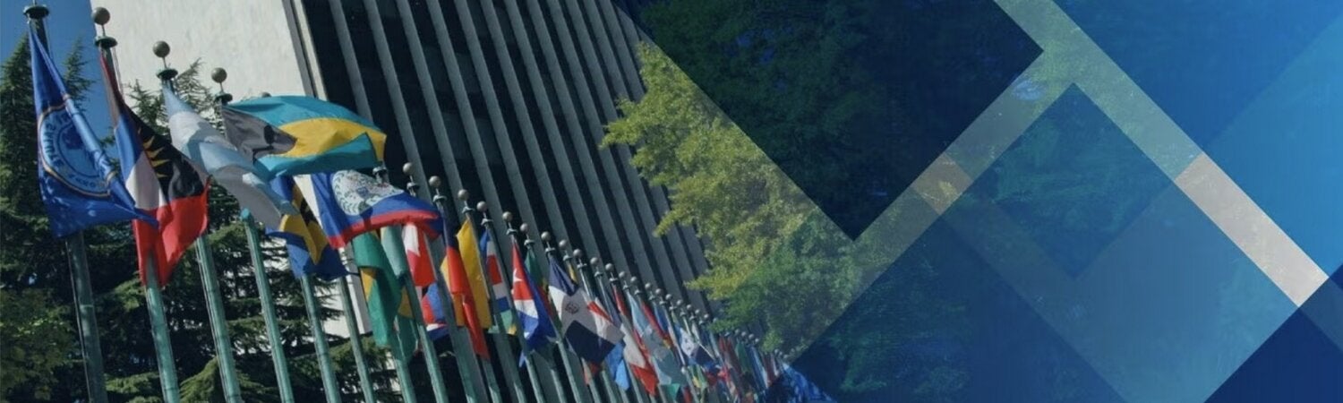 Banderas países miembros OPS