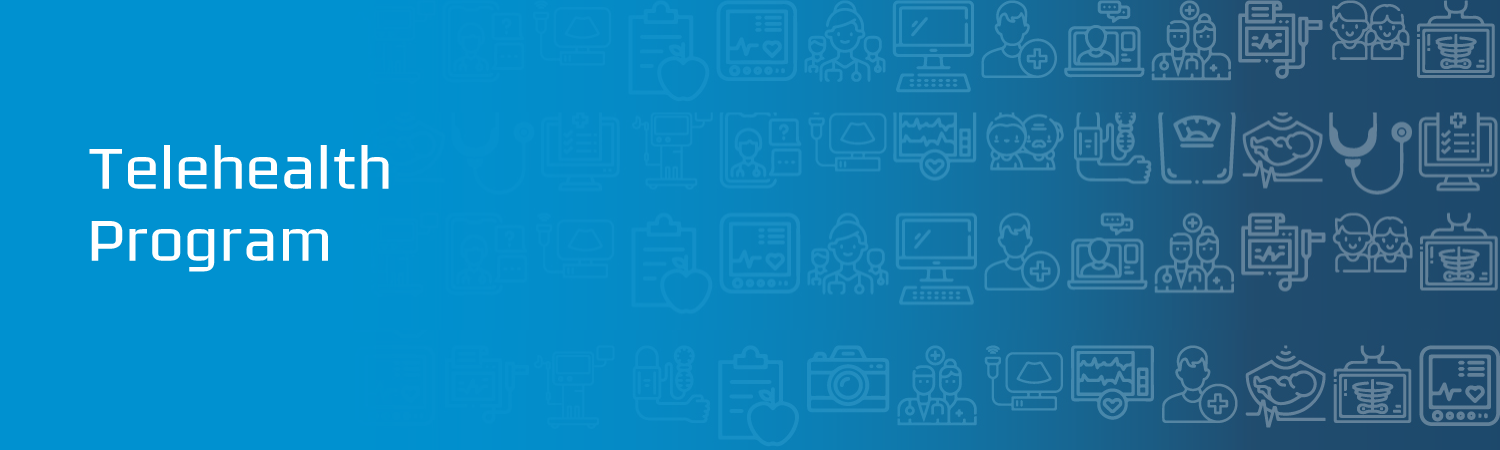Telehealth Program