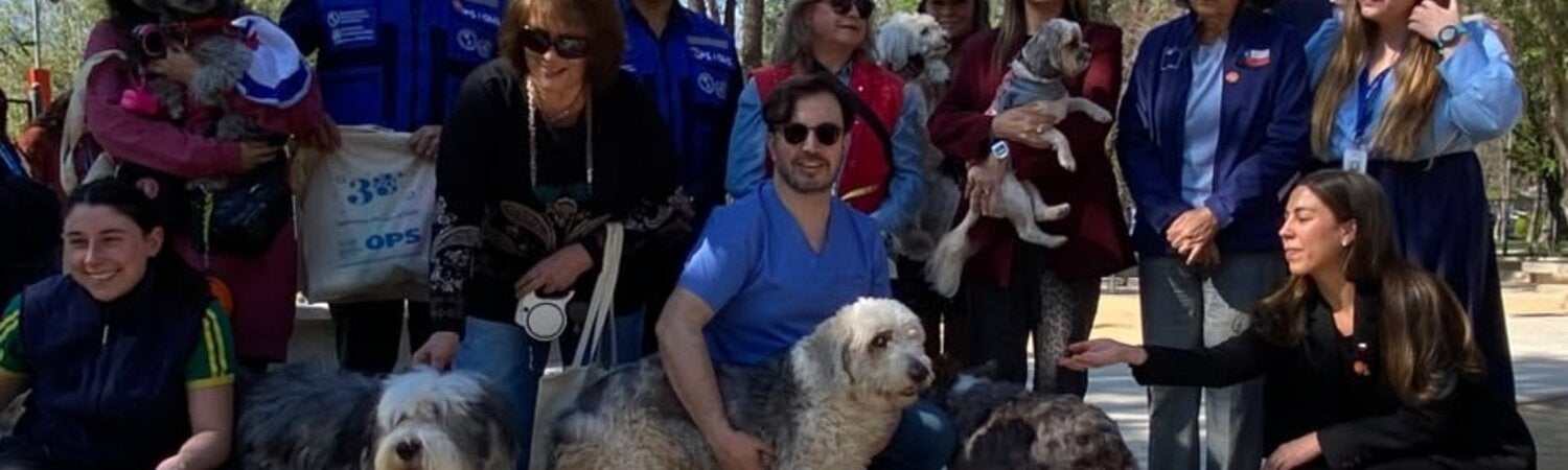 Eliminación transmisión rabia canina Chile 2026