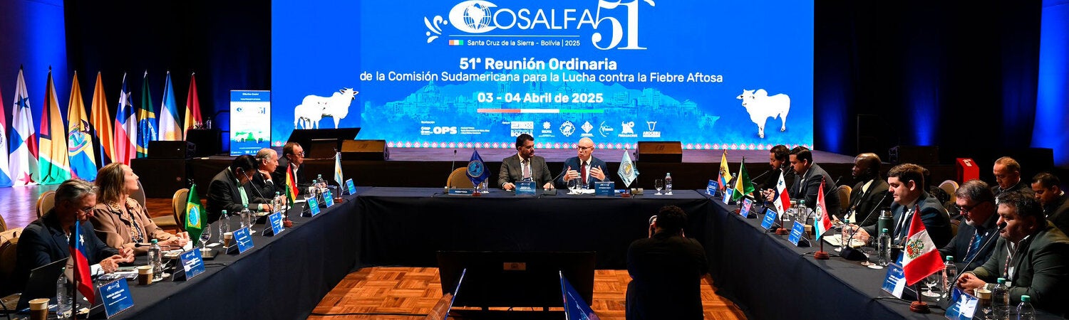 ""cosalfa 51 mesa con delegados