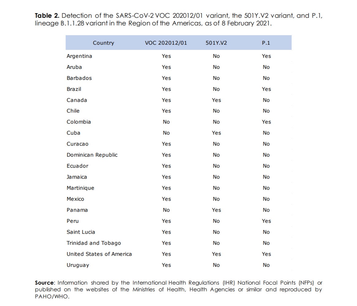 Table 2. Detection of the SARS-CoV-2 VOC 202012/01 variant, the 501Y.V2 variant, and P.1, lineage B.1.1.28 variant in the Region of the Americas, as of 8 February 2021