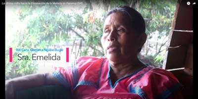 Video: La última milla hacia la Eliminación de la Malaria en Panamá
