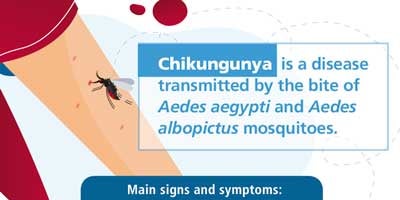 Posters about chikungunya