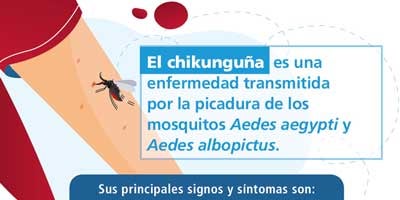 Afiches sobre la chikungunya: personas en riesgo, signos y síntomas
