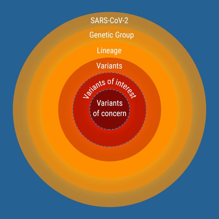 Variants of concern 