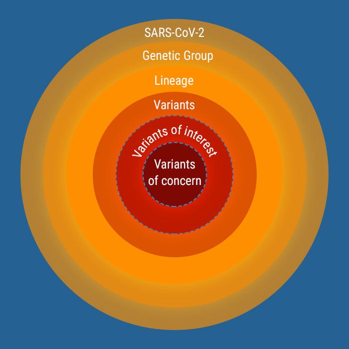 Variants of concern 