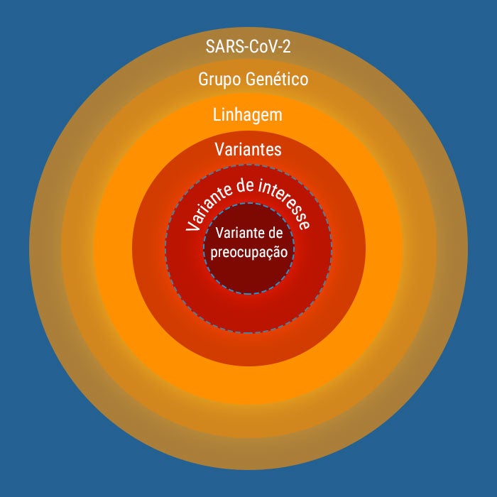 Variantes de preocupação