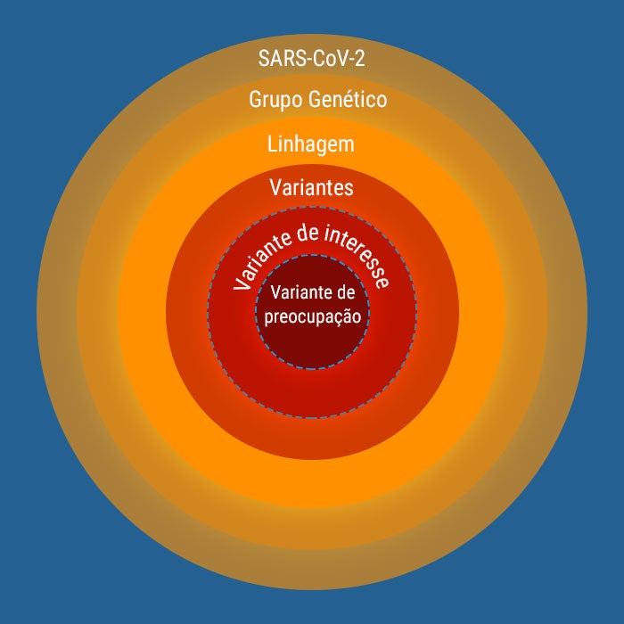 Variantes de preocupação