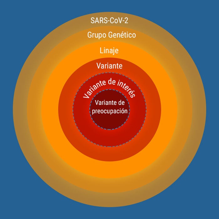 Variantes de preocupación