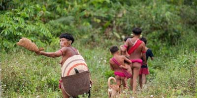 Las poblaciones indígenas nómadas yanomami que transitan libremente por la zona fronteriza entre Brasil y Venezuela son las afectadas por la oncocercosis.